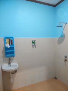 纳闽巴霍D'Ru Guest House的一间带水槽和蓝色墙壁的浴室