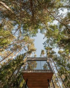 HolsbybrunnTrakt Forest Hotel的森林中的树屋,眺望天空