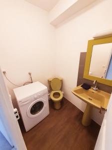 贝拉克N°3 - Atypique triplex - CENTRE VILLE - parking的一间带洗衣机和卫生间的浴室
