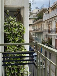 雅典SoHoAthine Apartment的植物建筑的阳台