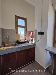 列城Zanu Residency的厨房设有水槽和窗户。