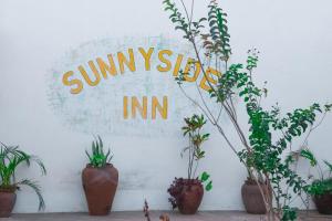 布兰太尔Sunnyside Inn的墙上的植物标牌