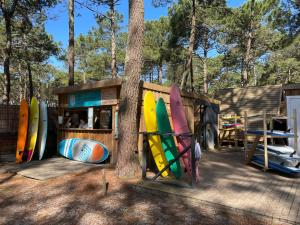 比斯卡罗斯Hoya Surf Camp - Activités + logements的冲浪店,冲浪板靠在树上
