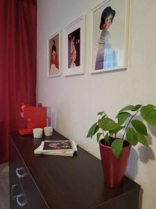 里加Iļģuciema Apartment的一张桌子,上面有盆栽植物和墙上的照片