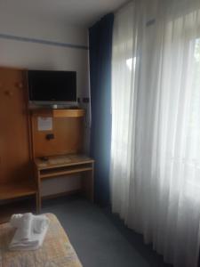 CanzolinoAlbergo Aurora的客房设有床、电视和窗户。