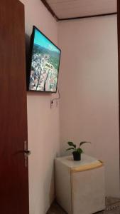 伦索伊斯Suítes Junto e Misturado的挂在墙上的平板电视,挂在植物上
