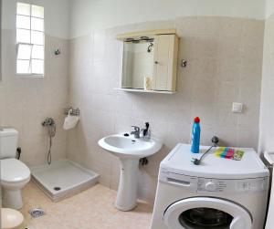 米蒂利尼Studios Akrotiri的一间带洗衣机和水槽的浴室