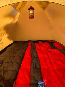 达兰萨拉Bal Camps by Hike House的红色毯子帐篷内的一张床位