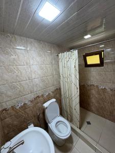 HalidzorHarsnadzor Eco Resort的一间带卫生间和水槽的浴室