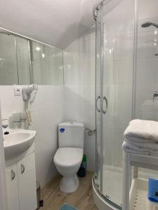 萨希诺Bukszpan的带淋浴、卫生间和盥洗盆的浴室