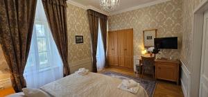 雷德尼斯扎莫奇莱德尼斯酒店的一间卧室设有一张床、一台电视和一个窗口。