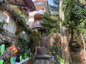 碧瑶Baguio mountain villa view RW的通往植物之家的楼梯