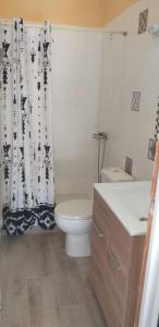 阿格特Casa Faican的浴室设有卫生间和黑白淋浴帘。