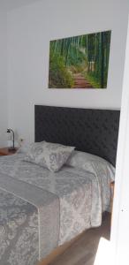 阿格特Casa Faican的卧室配有一张挂在墙上的床铺