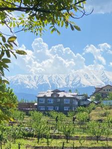 古尔马尔格THE GULMARG PALACE的山城背景和建筑