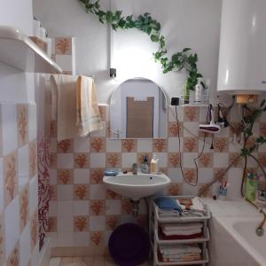 奥巴曹洛克Marika vendégház的浴室配有盥洗盆、镜子和浴缸