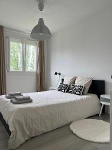 贝尔福COSY F3 PROCHE CENTRE的白色卧室配有带枕头的大床