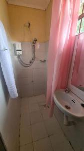 Premara Hotel Kehancha的带淋浴和盥洗盆的浴室