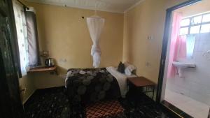 Premara Hotel Kehancha的卧室配有带蚊帐的床。