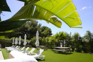 普拉亚登博萨Los Escondidos Ibiza的一排躺椅和桌子及遮阳伞