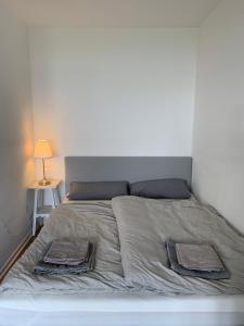 杜塞尔多夫Business Apartment SPA walk to Fair & Rhine River的卧室内的一张带两个枕头的床