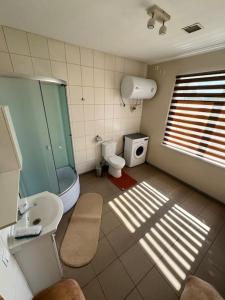 Red Brick House的浴室配有卫生间、淋浴和盥洗盆。