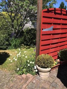 布兰肯海姆Eifelhäuschen的花园里的红色围栏,花朵花朵