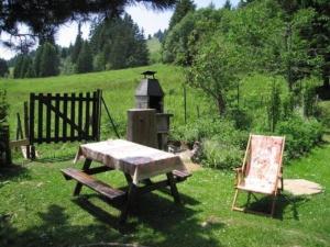 Les PaccotsMaiensäss WiFi, Last-Minute, Naturnah, Familienfreundlich, sonnig,in den Almweiden,的院子里的野餐桌、烧烤架和椅子