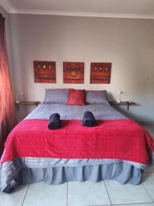 波罗瓜尼Sweet Dreams Polokwane的一间卧室配有一张带红色毯子的大床