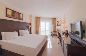 安塔利亚安塔利亚皇冠假日酒店的配有一张床和一台平面电视的酒店客房
