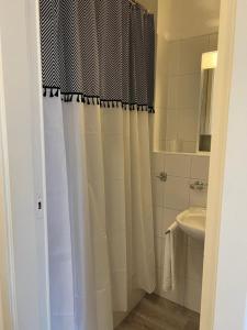 贝林佐拉B&B Ilien的浴室配有淋浴帘和盥洗盆。