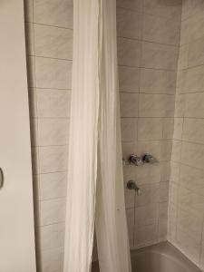 科尔多瓦Hermoso Apartamento en Edificio Saint Michel的一间带白色淋浴帘的浴室