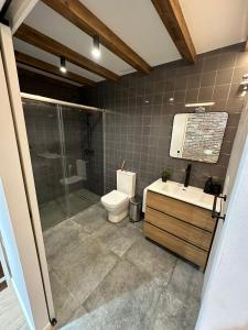 瓦伦西亚Bear Homes - Olimpia Suite的浴室配有卫生间、淋浴和盥洗盆。