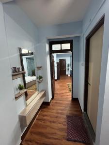 甘托克Bluebird'snest的走廊上设有门,墙上设有镜子