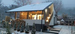 尼什Bloom的雪中带屋顶的小房子