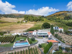 比索达雷加Feel Discovery Douro LAS House的享有带游泳池和葡萄园的别墅的空中景致