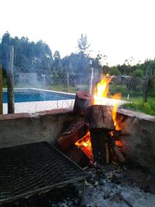 科隆Bungalows Tiempo Libre的背景中带游泳池的火坑