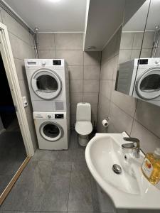 诺尔雪平Nyrenoverat 2-våningshus的一间带洗衣机和水槽的浴室
