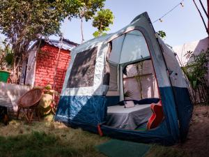 菩提伽耶Hostel Osara的草上带一张床和椅子的帐篷