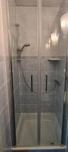 卡尔帕奇ORION的浴室里设有玻璃门淋浴