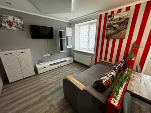 文尼察Apartment on Vatutina的客厅设有红色和白色条纹墙