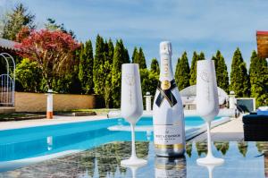 Aldersbach5 Sterne Centurion Ferienhaus Villa 2 Pools 86 Zoll TV的游泳池旁的酒杯里一瓶香槟