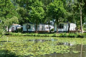 金洛伊Vakantiehuis Hoge Kempen - 25 minuten Roermond, Maasmechelen & Maastricht的享有湖泊美景,设有房屋