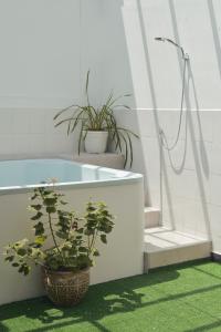 马尼萨莱斯HBS Hotel的一间带盆栽植物和浴缸的浴室