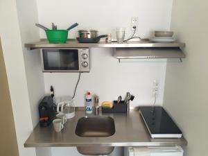 不莱梅Aparthotel Sanni的厨房柜台设有水槽和微波炉