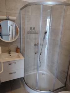 博博利采Jurajska Chata的浴室里设有玻璃门淋浴