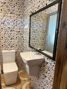 WinnebaFloranth Apartment的一间带卫生间、水槽和镜子的浴室