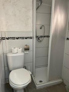 卡塔尼亚Homesweet的一间带卫生间和淋浴的浴室