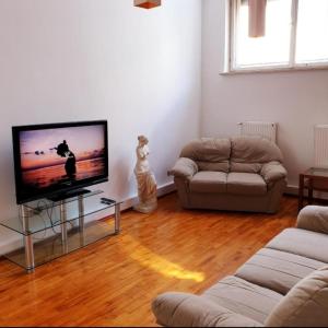 华沙Apart Lwowska的客厅配有平面电视和沙发。