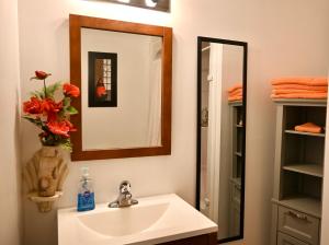 尼亚加拉瀑布Centennial Suite的一间带水槽和镜子的浴室